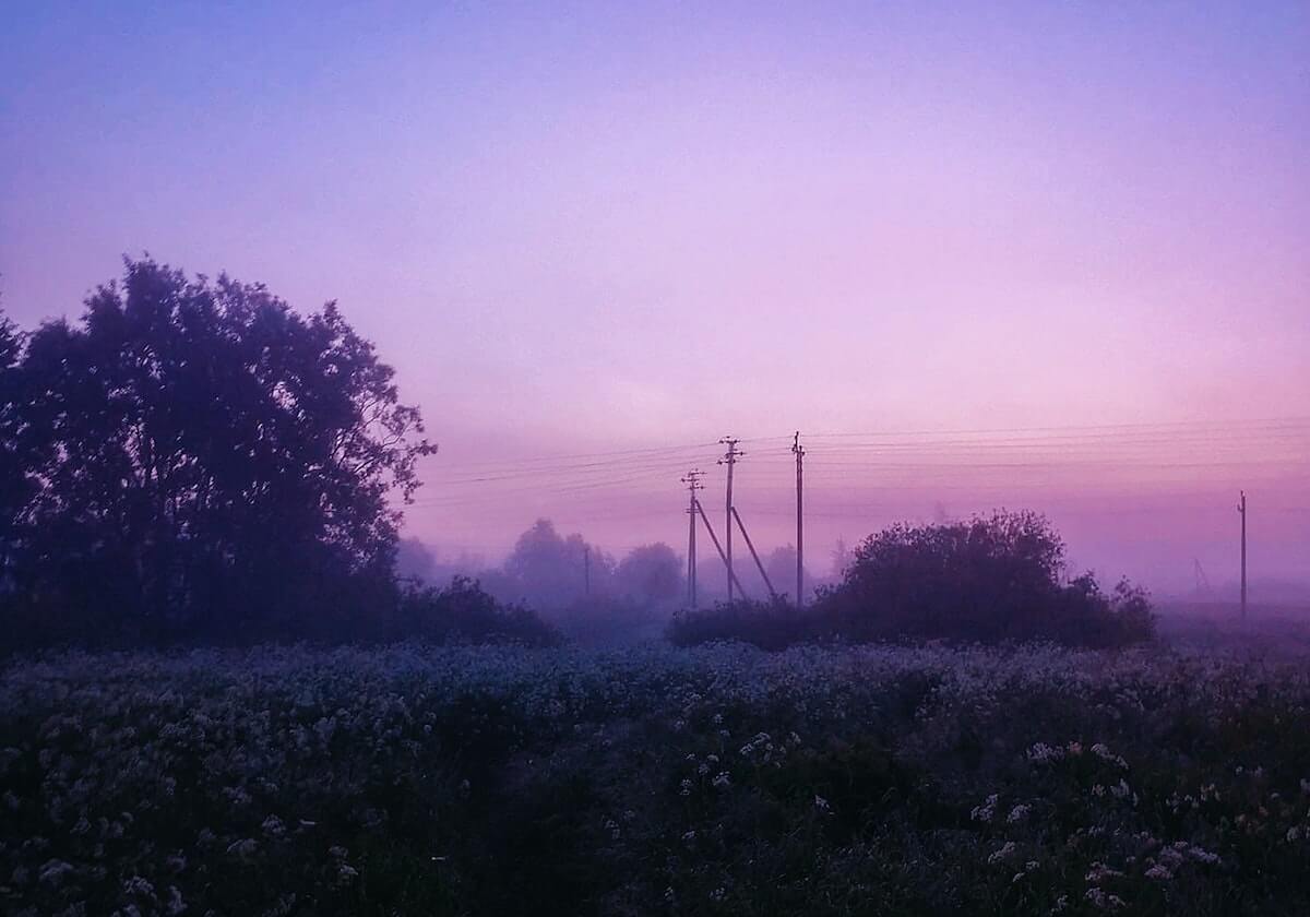 半岛体育娱乐-高光时刻：Tarzan赵信化身闪光，迅猛攻势三比一战胜NIP